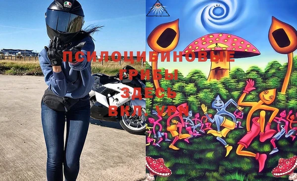 a pvp Алексин