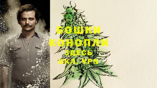 не бодяженный Алзамай